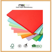 Printing Color Packaging Paper Offset Paper with Wood Pulp